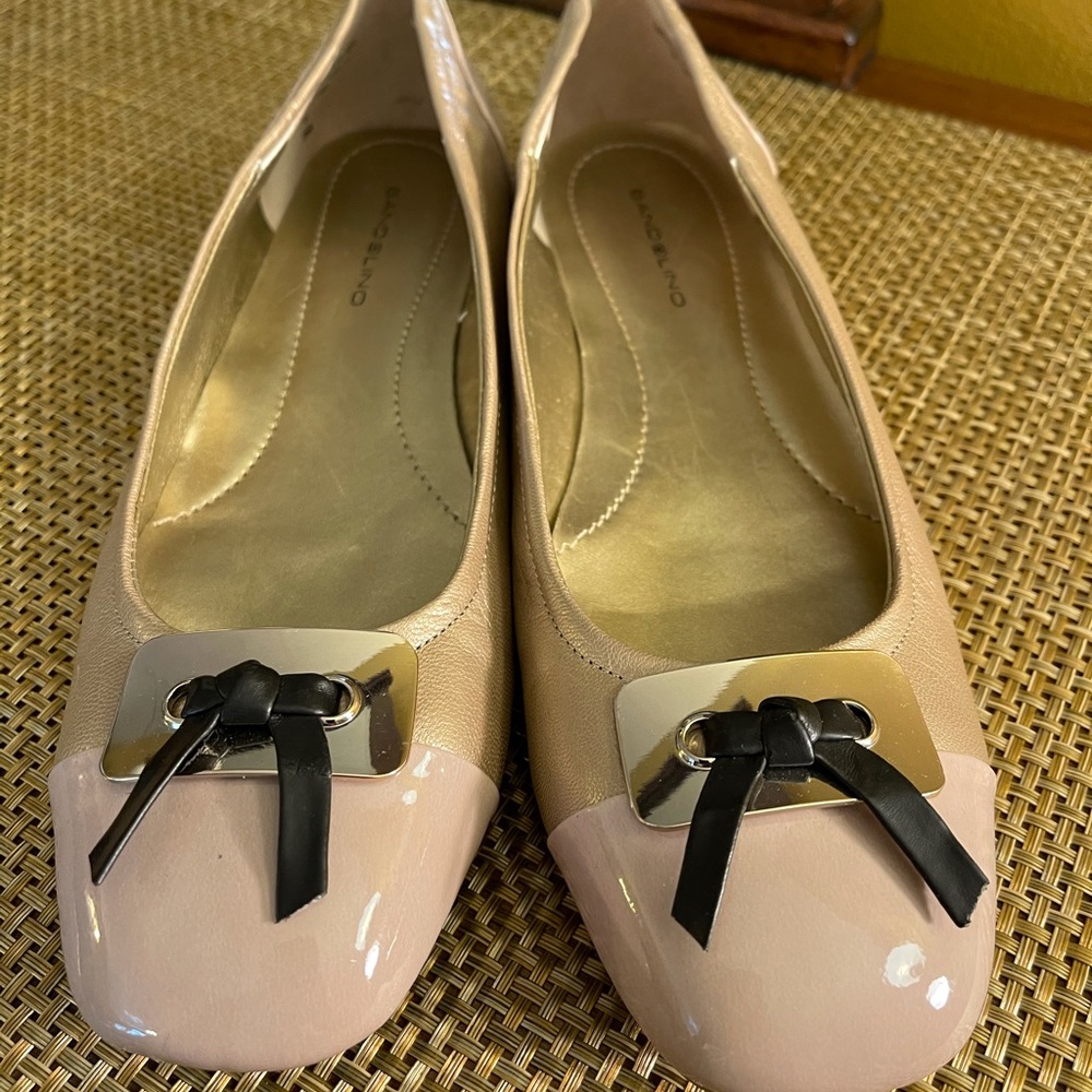 NWOT Ladies Ballerina Flats